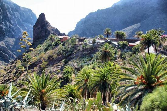 Appartement Marody House Vacacional